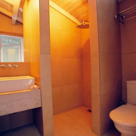 Castle Boutique Homestay szállás